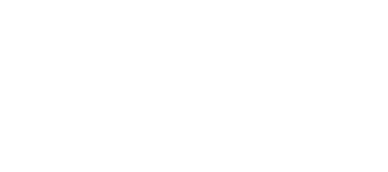Logo Diace blanc groupe Mh industries