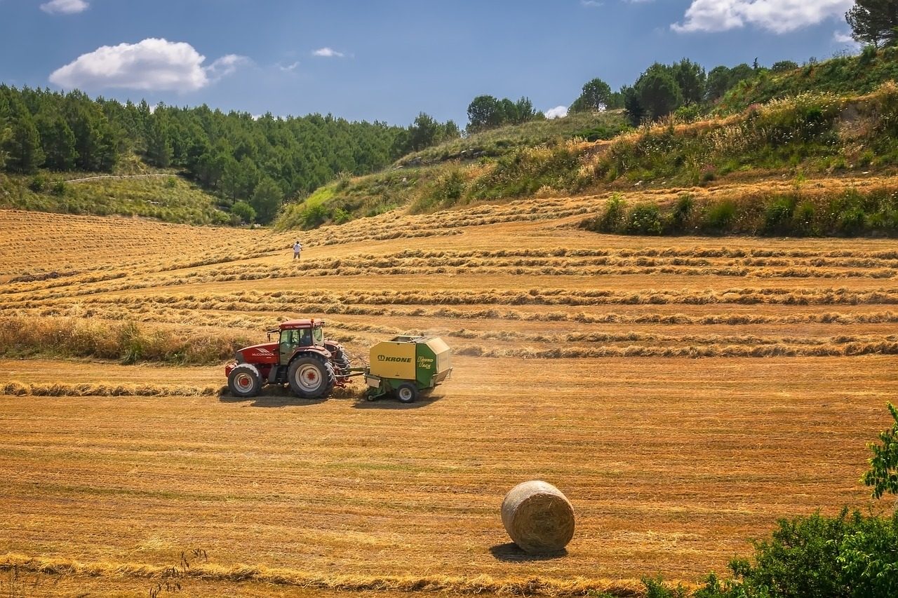 agricole